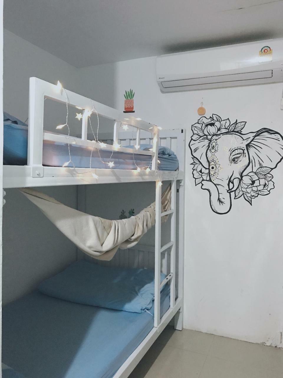 Bunk Bed Mixed Dormitory Room