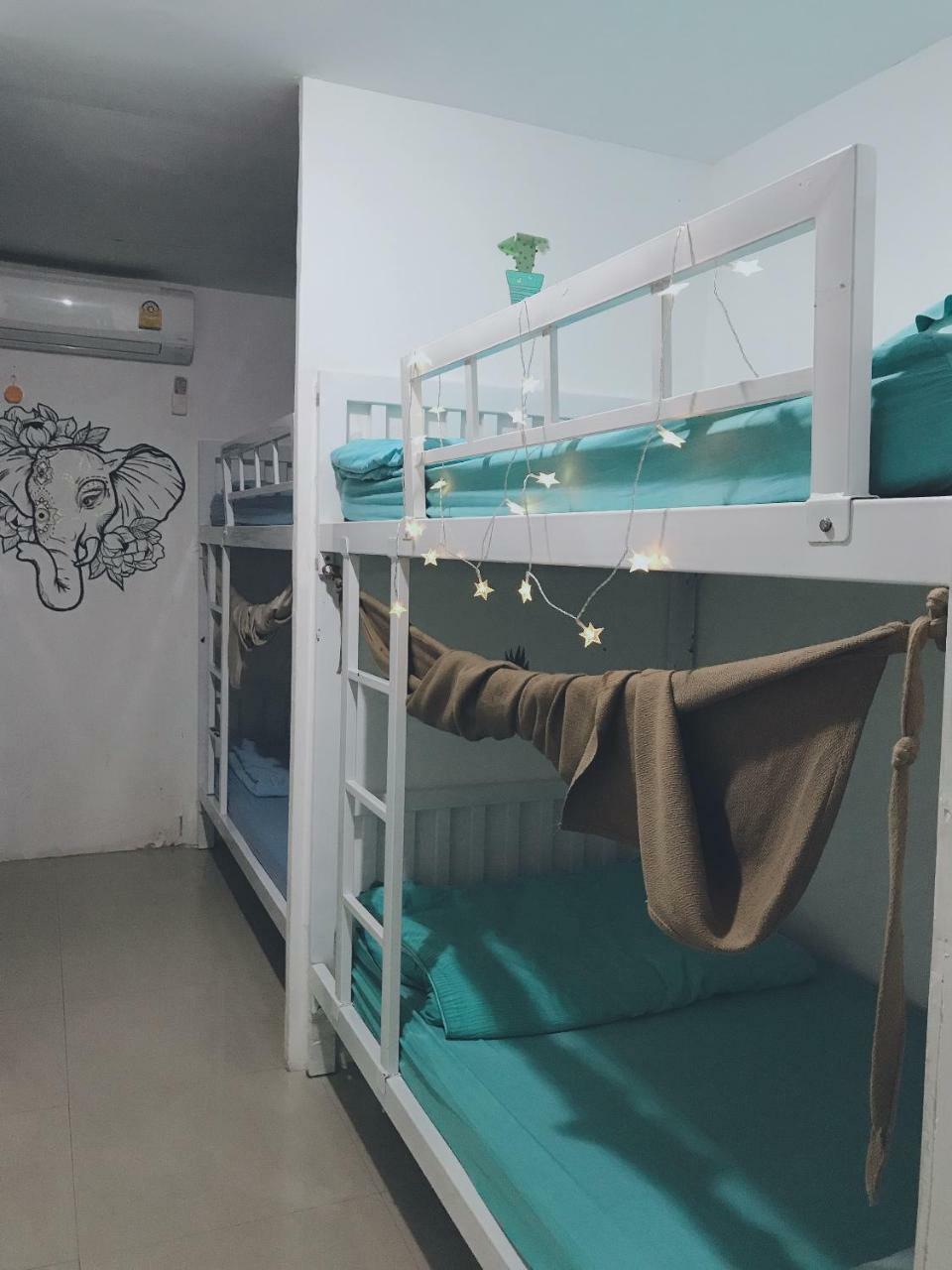 Bunk Bed Mixed Dormitory Room